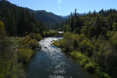 DSC_6467 (Large).JPG